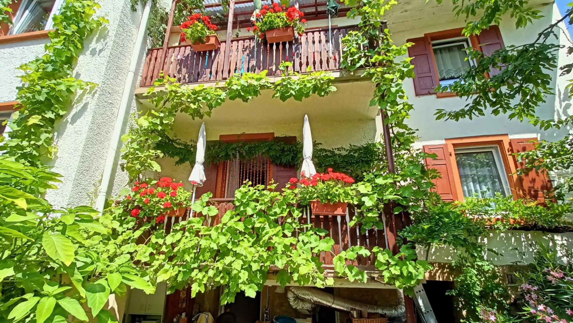 Urlaub Mit Charme In Der Kleinsten Stadt Der Pfalz. Obermoschel Zewnętrze zdjęcie